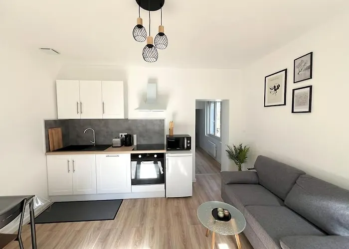 アパート Maison Cosy A サン・ディジエ